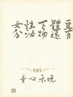 女性下体豆腐渣分泌物还有点痒封面