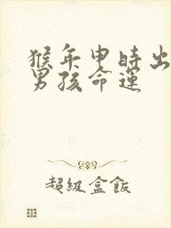 猴年申时出生的男孩命运封面