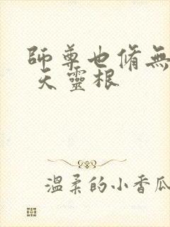 师尊也修无情道 天灵根