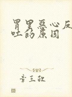 胃里恶心反胃想吐的原因