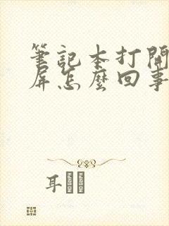 笔记本打开了黑屏怎么回事