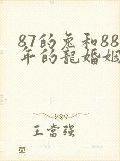 87的兔和88年的龙婚姻怎么样