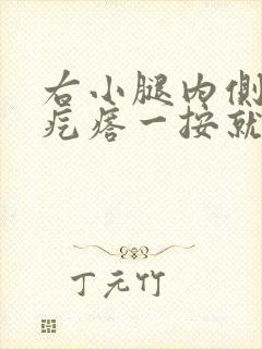 右小腿内侧有个疙瘩一按就疼