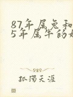 87年属兔和85年属牛的婚姻