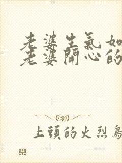 老婆生气如何哄老婆开心的句子