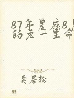 87年农历8月的兔一生命运