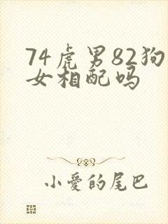 74虎男82狗女相配吗封面