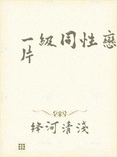 一级同性恋黄色片