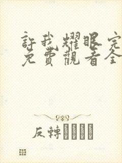 许我耀眼完整版免费观看全集