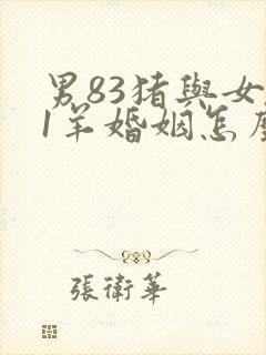 男83猪与女91羊婚姻怎么样封面