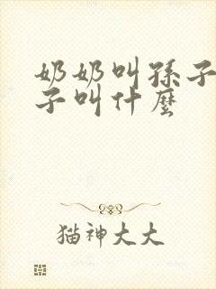 奶奶叫孙子的儿子叫什么