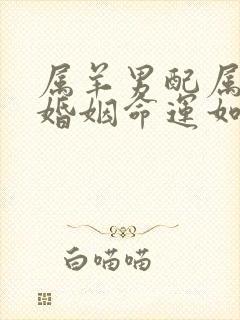 属羊男配属猴女婚姻命运如何封面