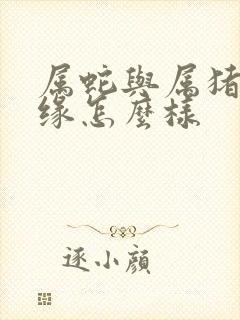 属蛇与属猪的姻缘怎么样