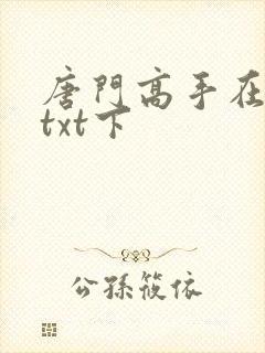 唐门高手在异世txt下封面