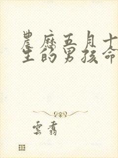 农历五月十八出生的男孩命运封面