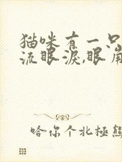 猫咪有一只眼睛流眼泪,眼角分泌物发红