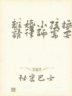 离婚小孩抚养权请律师需要多少钱