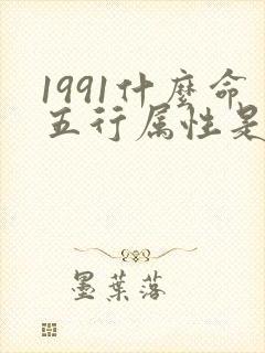 1991什么命五行属性是什么
