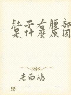 肚子右腹部疼痛是什么原因