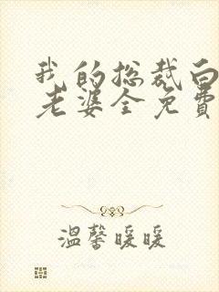 我的总裁白富美老婆全免费的小说