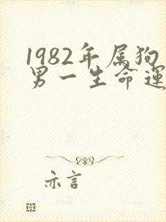 1982年属狗男一生命运如何