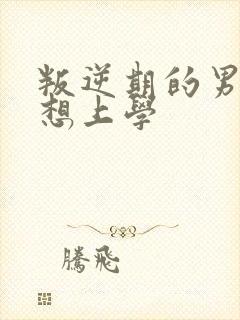 叛逆期的男孩不想上学