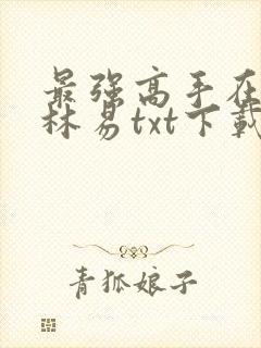 最强高手在都市林易txt下载