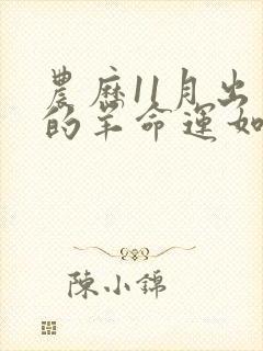 农历11月出生的羊命运如何封面