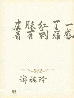 皮肤红了一片摸着有刺痛感