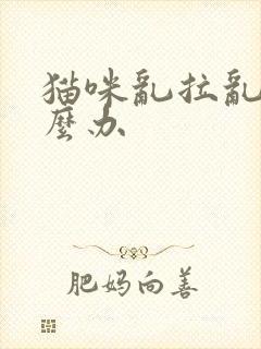 猫咪乱拉乱尿怎么办