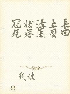 冠状沟上长了肉疙瘩怎么回事