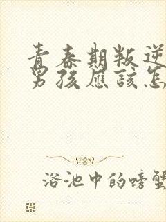 青春期叛逆厌学男孩应该怎么办封面