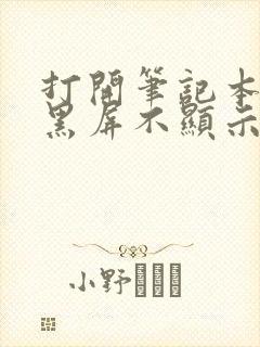 打开笔记本电脑黑屏不显示桌面怎么办