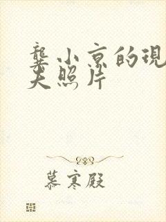 龚小京的现任丈夫照片