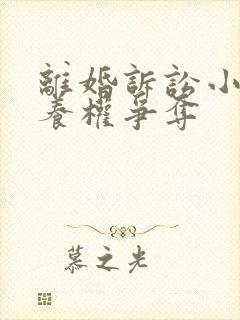 离婚诉讼小孩抚养权争夺