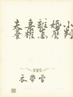 夫妻离婚小孩抚养权怎么判抚养费怎么出