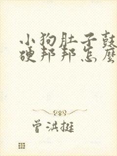 小狗肚子鼓鼓的硬邦邦怎么办