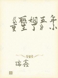 《联姻五年后她重生了》小说