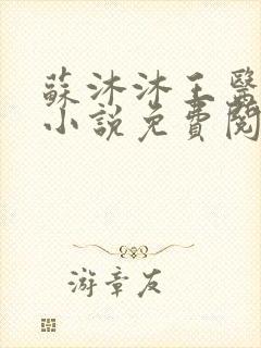 苏沐沐王医生的小说免费阅读