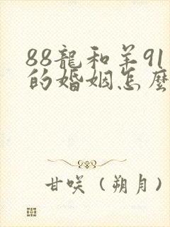 88龙和羊91的婚姻怎么样