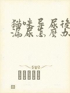 猫咪导尿后一直漏尿怎么办