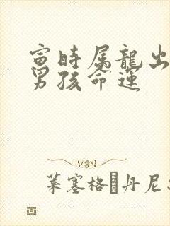 寅时属龙出生的男孩命运