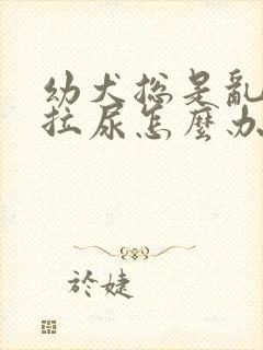 幼犬总是乱拉屎拉尿怎么办