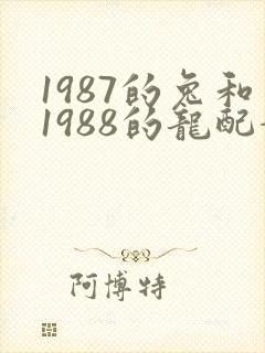 1987的兔和1988的龙配婚姻好不好
