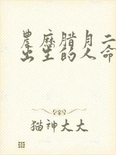 农历腊月二十九出生的人命运如何