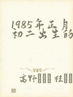 1985年正月初二出生的命运