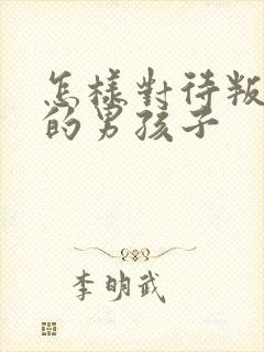 怎样对待叛逆期的男孩子