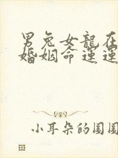 男兔女龙在一起婚姻命运运势怎样封面
