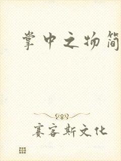 掌中之物简介封面