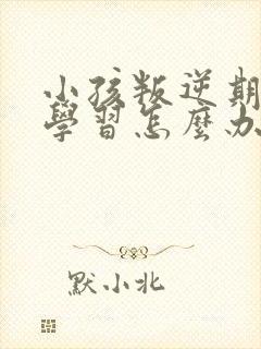 小孩叛逆期不爱学习怎么办封面